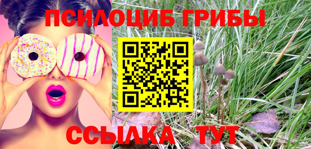 Галлюциногенные грибы ЛСД Биробиджан